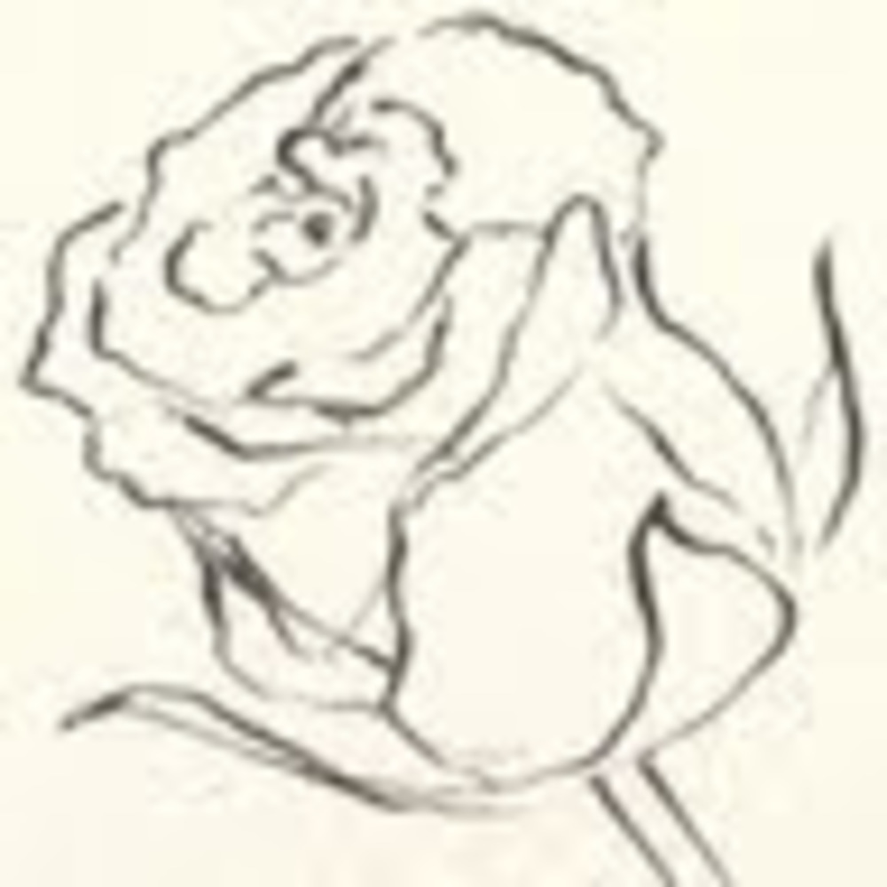 Meet your Posher, Rose